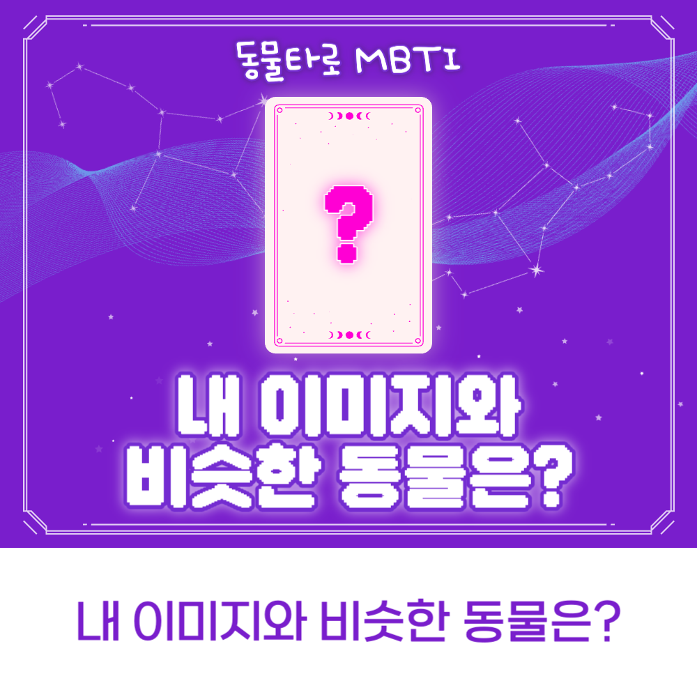 동물타로 MBTI