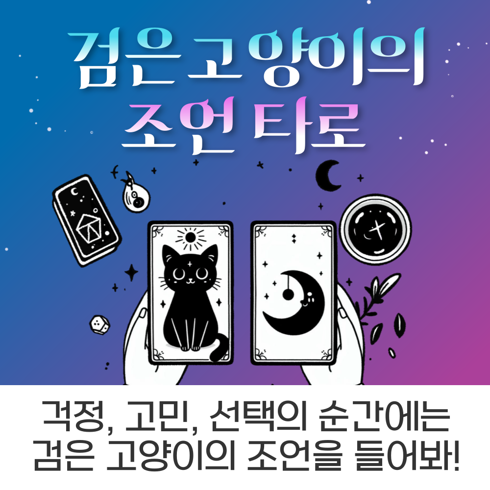 검은고양이의 조언 타로