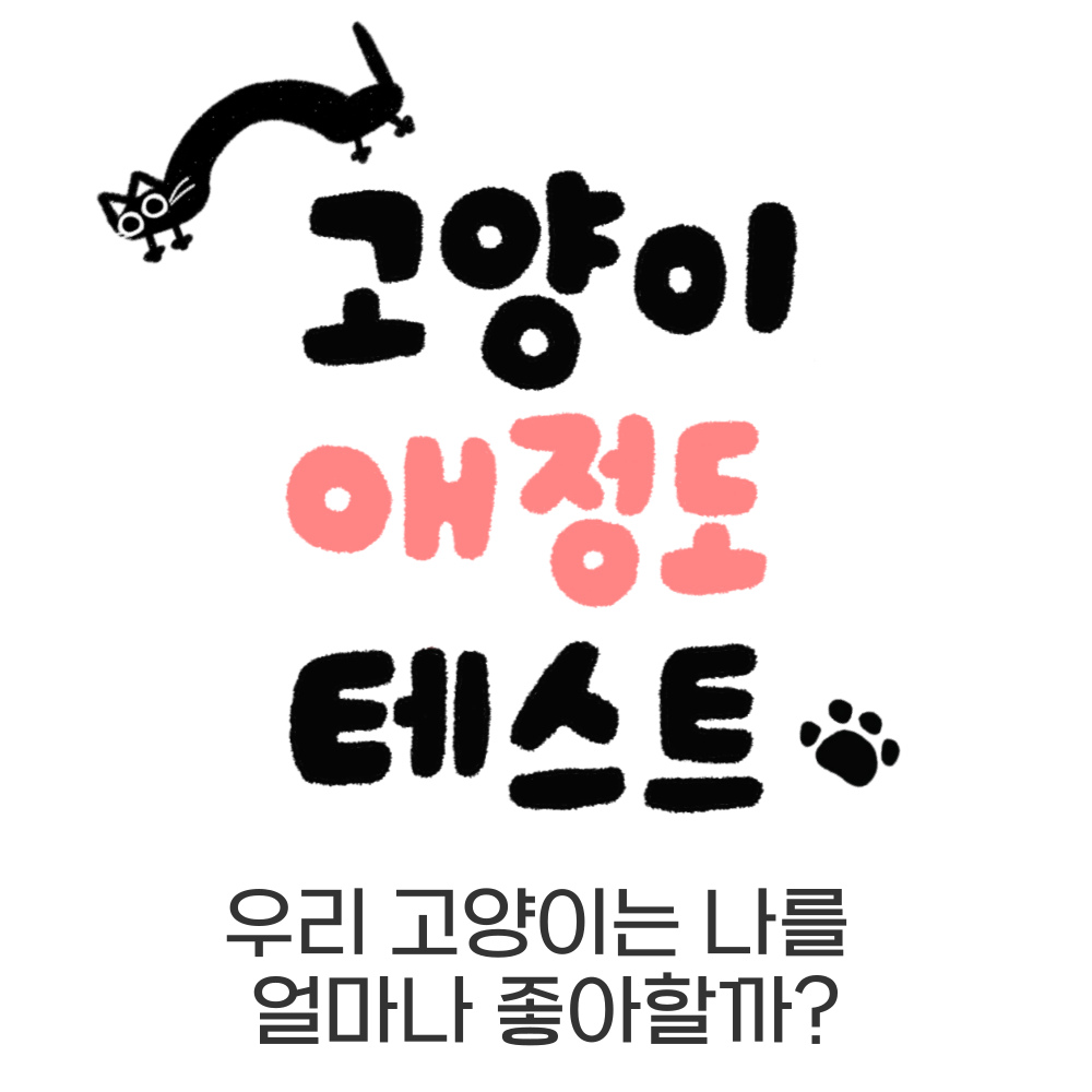 고양이 애정도 테스트